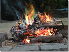 campfire (2)